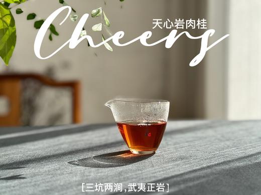 【春茶特惠集市】2025天心岩肉桂，桂皮香、蜜桃香、果香、木质香，超长待机，15冲后尾水还带着甜 商品图12