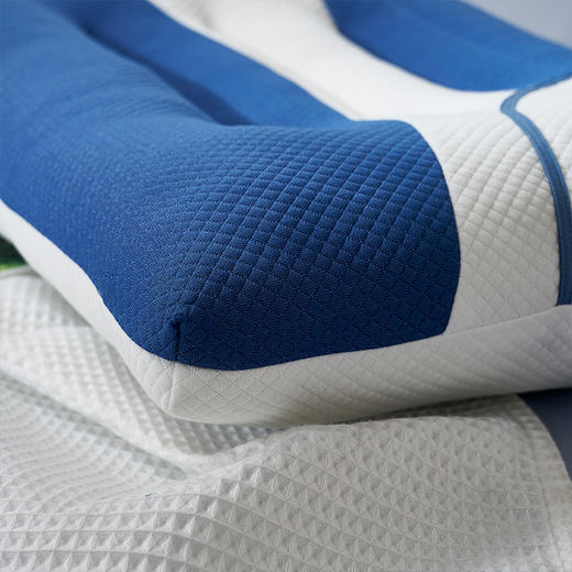 富安娜 决明子牵引对枕 商品图5