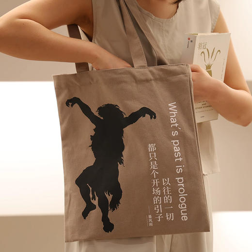 莎士比亚系列帆布袋  文创 单肩包 手提袋 中央编译出版社 商品图3