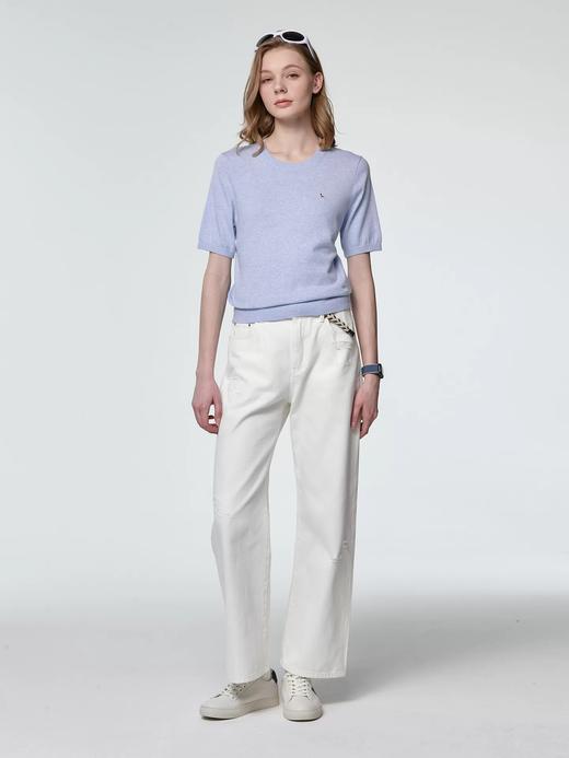 点此购买 哈吉斯女士春季时尚休闲通勤打底圆领短袖针织衫 xj 343638 商品图5