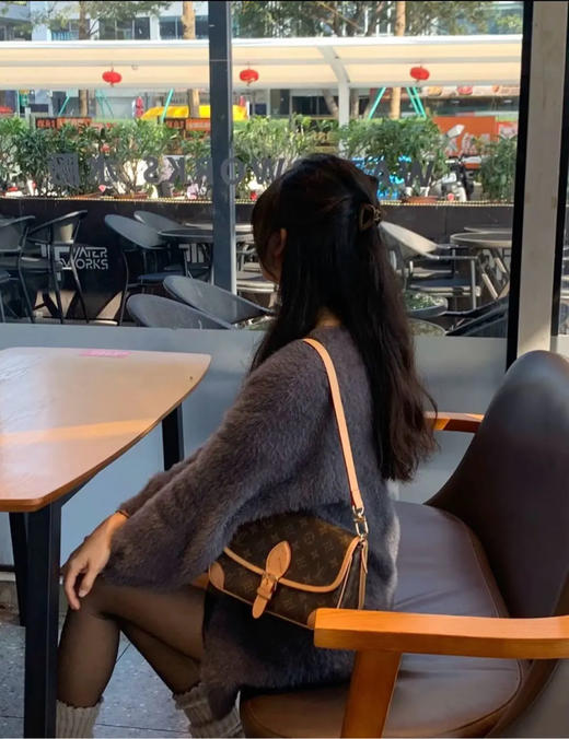 LV 老花 黑肩带 Diane 法棍包 商品图3