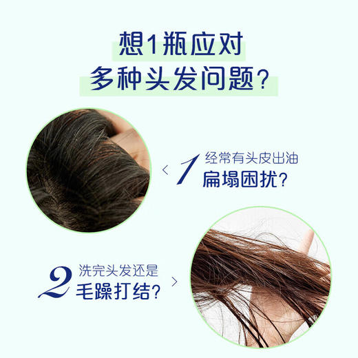 飘柔 家庭护理芦荟长效止痒滋润洗发露170g*1瓶 pg-1pcxzy 商品图4