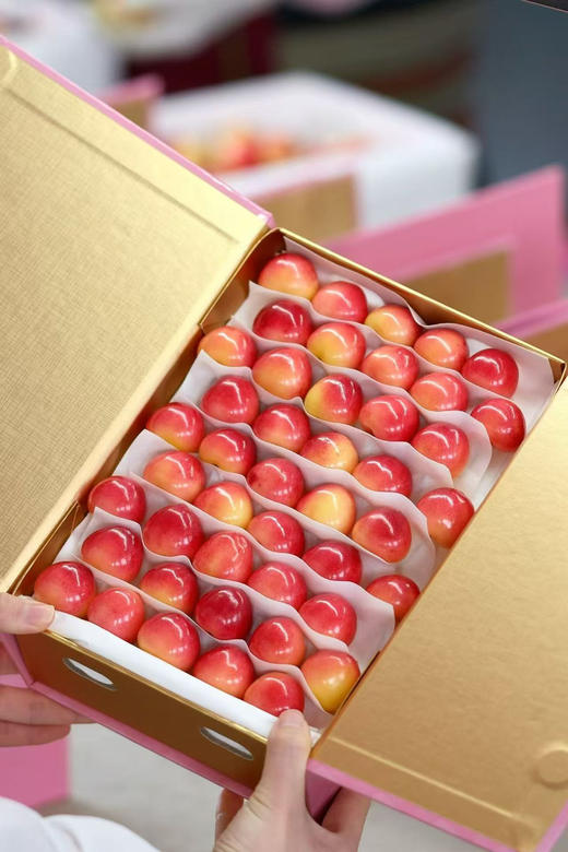 国产斯卡拉蕾樱桃🍒 商品图0