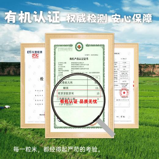 【2025年秋收】谦益香畴有机胚芽米500g 自然农耕东北原产生态稻花香 营养粥米 软糯回甘 米油浓厚 商品图5