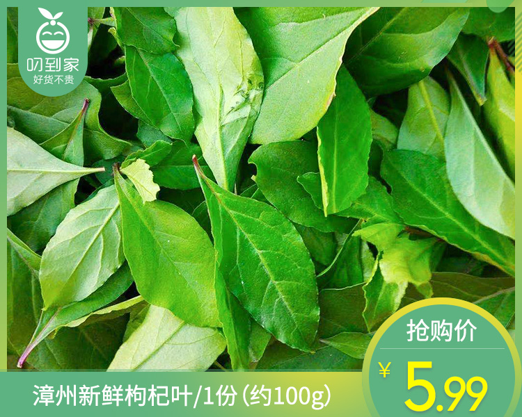【叼鲜蔬】漳州新鲜枸杞叶/1份（约100g）