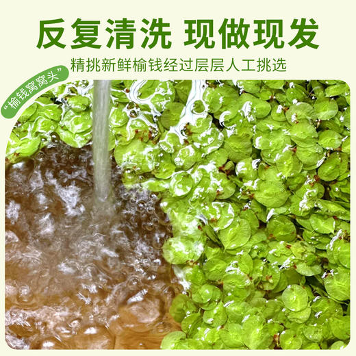 2026头茬榆钱窝窝头 纯手工无添加 新鲜榆钱叶 面少叶多不发硬  现做现发 商品图2