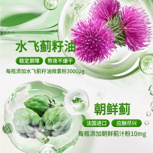 轻上桦树 白桦树汁水飞蓟肝肽饮235ml*10瓶 活力支援 熬夜应酬常备 72小时发货（开盖后需冷藏保存） 商品图5