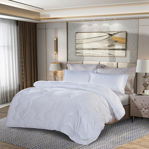 富安娜 逸享抗菌四季被203*229cm(1000g) 商品图1