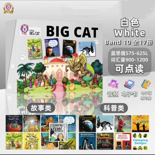 Tiger's Tale 商品图0