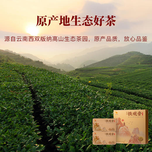 八马茶业 | 大满罐·福建乌龙茶清香铁观音礼盒196g 商品图2