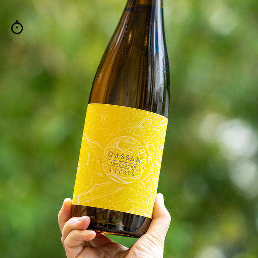 企鹅市集|月山酒造 innovation系列Citrus柑橘 纯米吟酿清酒 口感柔和顺滑 商品图1