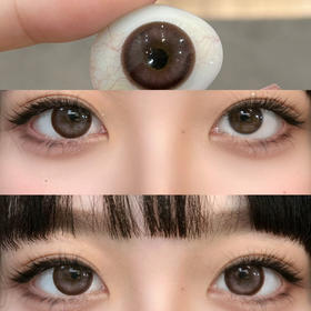 DK375（半年抛）