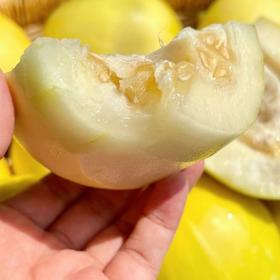 【小蜜蜂甜瓜】嘎嘣脆，贼拉甜，