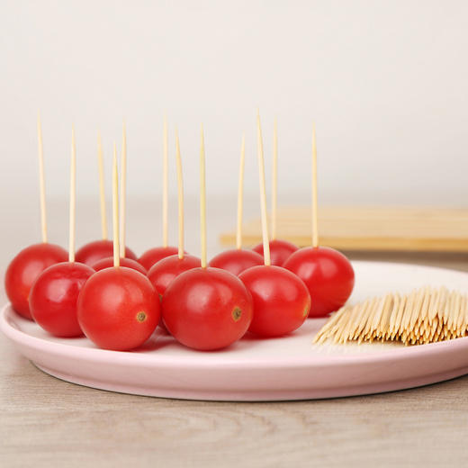 美丽雅 高档不锈钢盖牙签350支 HC68728 商品图4