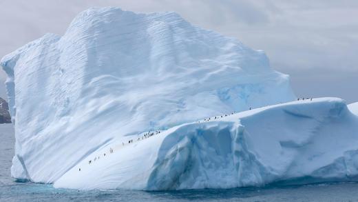南极三岛「早鸟价8折，优惠高达4万元」福克兰群岛、南极半岛、南乔治亚岛26天摄影之旅 商品图12