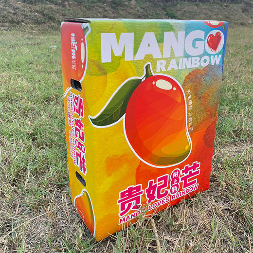 海南树上熟贵妃芒礼盒装 时令小芒果 香甜浓郁 京东发货 商品图4