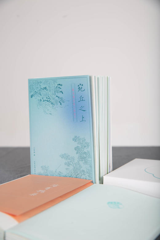 《宛丘之上：陈风拂过的诗经》 商品图1