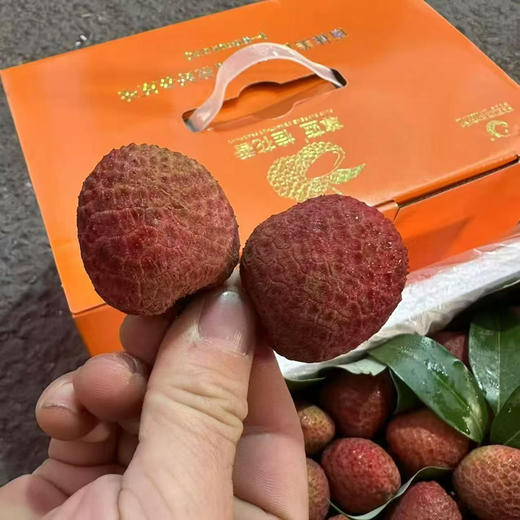 尊蓝老树桂花香荔枝3斤装，每一颗树上成熟，吃的到的新鲜，满口的温柔细腻 商品图3