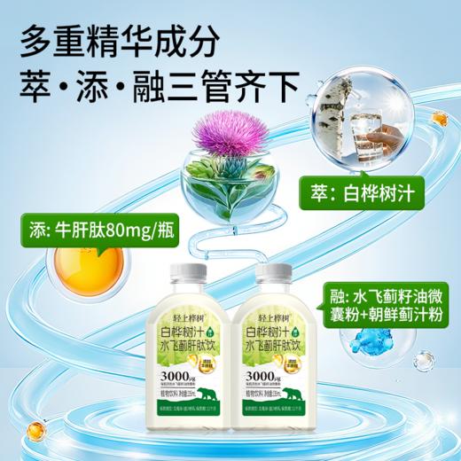 轻上桦树 白桦树汁水飞蓟肝肽饮235ml*10瓶 活力支援 熬夜应酬常备 72小时发货（开盖后需冷藏保存） 商品图3