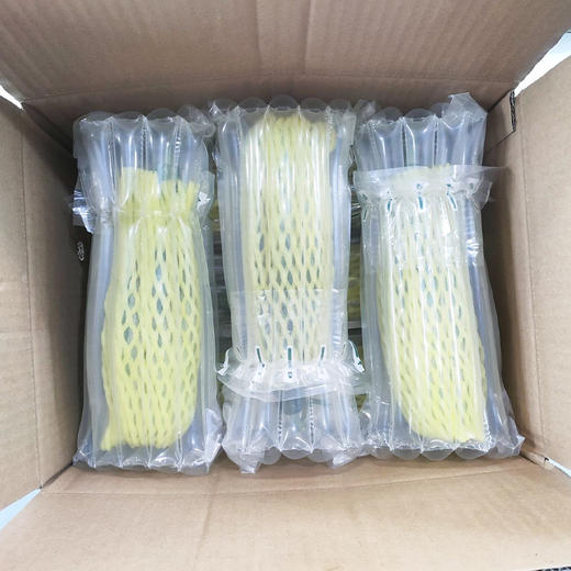 【羊角蜜瓜 】 绵中带脆 脆嫩无渣 清甜美味 商品图5