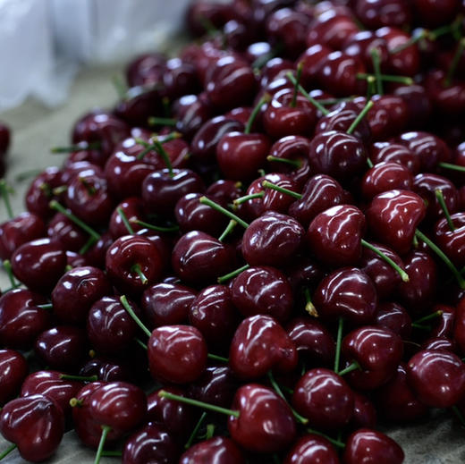 预售11号左右到仓：石家庄优选仓库速达（本周到货）大连美早樱桃4J 脆甜爆汁 果肉厚实 净重2斤礼盒装 商品图7