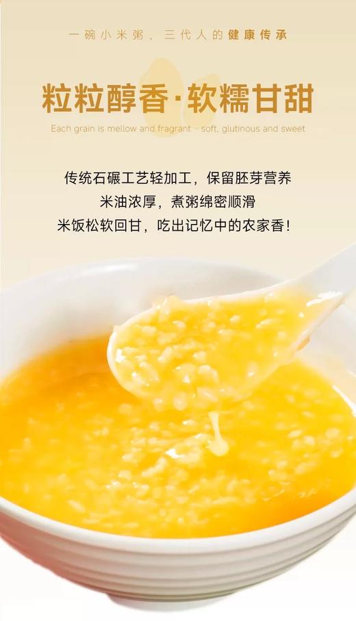 【积分兑换】千麦道当季东北黄金苗K1小米 北纬41°黄金小米 品质保证400g 商品图7