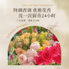 BESITING碧丝汀 内衣专用洗衣液衣液500ml 6976409160048 商品缩略图2