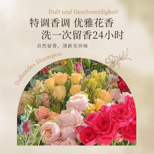 BESITING碧丝汀 内衣专用洗衣液衣液500ml 6976409160048 商品图2