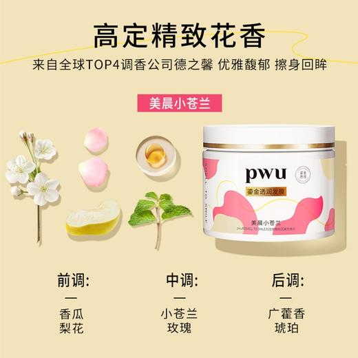 PWU朴物大美 鎏金透润发膜（美晨小苍兰）300g 6971830692359 商品图4