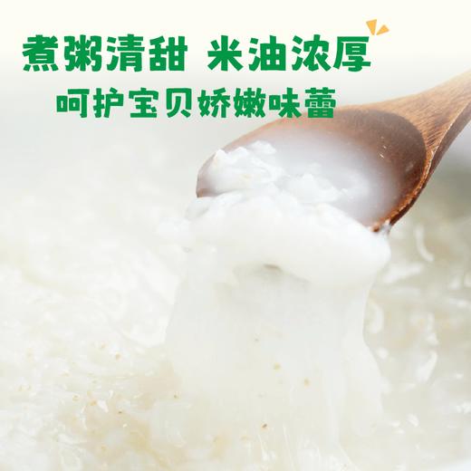 【2025年秋收】谦益香畴有机胚芽米500g 自然农耕东北原产生态稻花香 营养粥米 软糯回甘 米油浓厚 商品图4