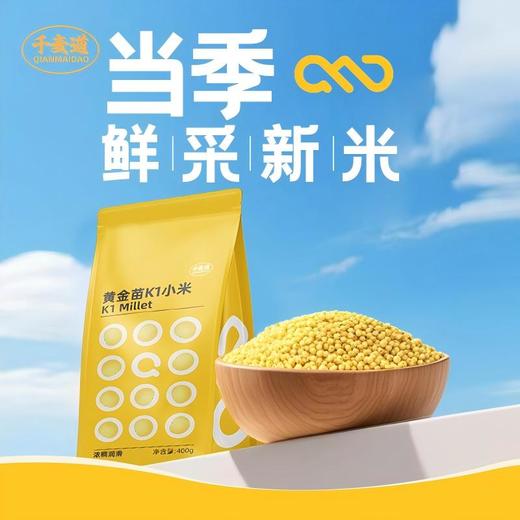【积分兑换】千麦道当季东北黄金苗K1小米 北纬41°黄金小米 品质保证400g 商品图0