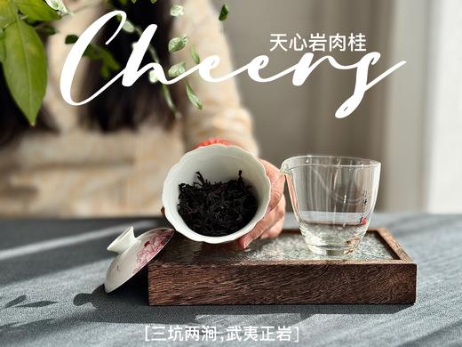 【春茶特惠集市】2025天心岩肉桂，桂皮香、蜜桃香、果香、木质香，超长待机，15冲后尾水还带着甜 商品图6