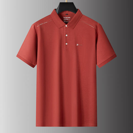 【DPS】【莱赛尔】大依优型大码男装夏季翻领polo衫短袖舒适休闲上衣半袖T恤 商品图5