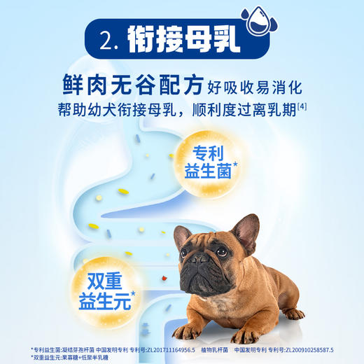 【雷米高】活力泰鲜肉系列功能日粮幼犬粮开口全价狗粮犬粮1.6kg 商品图3