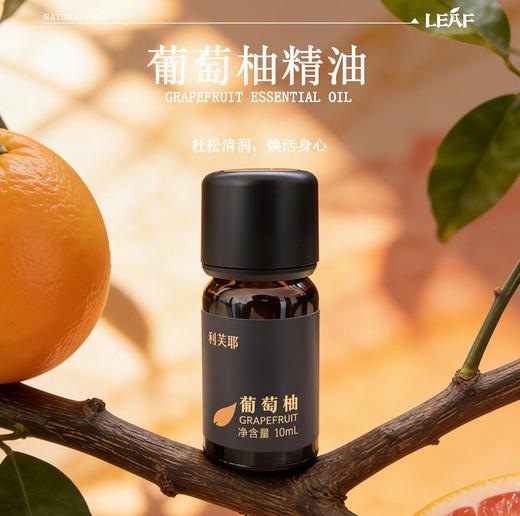 利芙耶  清体精油套组柠檬草葡萄柚杜松浆果 商品图1