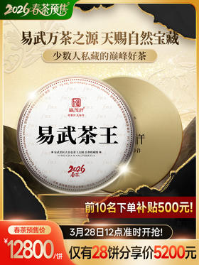仅28饼【易武茶王】2026年春茶云南普洱生茶易武高杆古树大谷仓茶王树357g饼茶