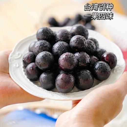 【嘉宝果】一果四味有山竹番石榴凤梨桃金娘四种味道 商品图0