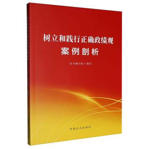 树立和践行正确政绩观案例剖析 商品图0