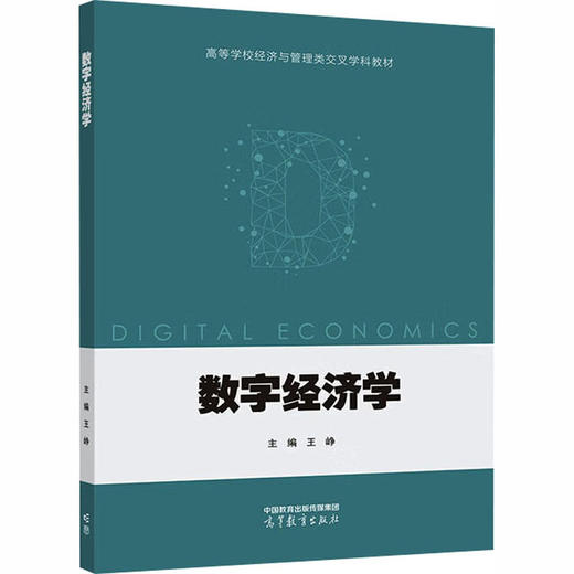 数字经济学 商品图0