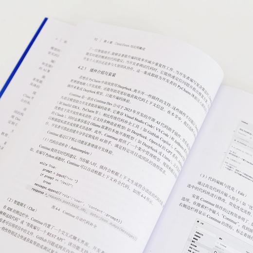DeepSeek大模型应用开发 从提示工程到智能体实践 deepseek模型原理 大模型应用开发实践教程书籍 商品图4