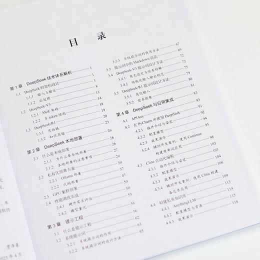DeepSeek大模型应用开发 从提示工程到智能体实践 deepseek模型原理 大模型应用开发实践教程书籍 商品图1