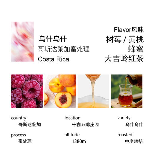 诚品咖啡 哥斯达黎加千咖万啡庄园乌什乌什蜜处理精品手冲咖啡豆 商品图1