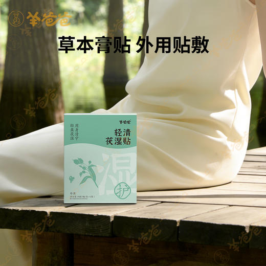 【轻清茯湿贴】草本膏贴 贴走粘腻感 商品图4