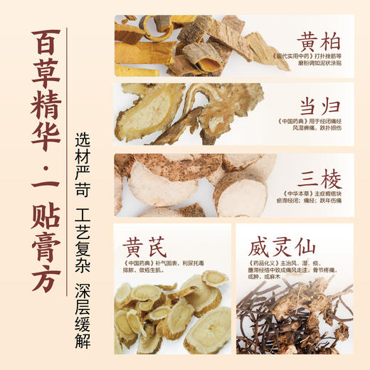 “源自光绪11年 140年中华老字号 官方认证非遗配方”孙泰和古方黑膏贴 加厚膏体量足持续时间长 5贴/盒 商品图4