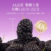 [芊芳源]桑葚干精选头茬饱满大果泡水食用口感清甜280g 商品缩略图1