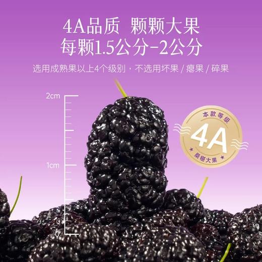 [芊芳源]桑葚干精选头茬饱满大果泡水食用口感清甜280g 商品图1