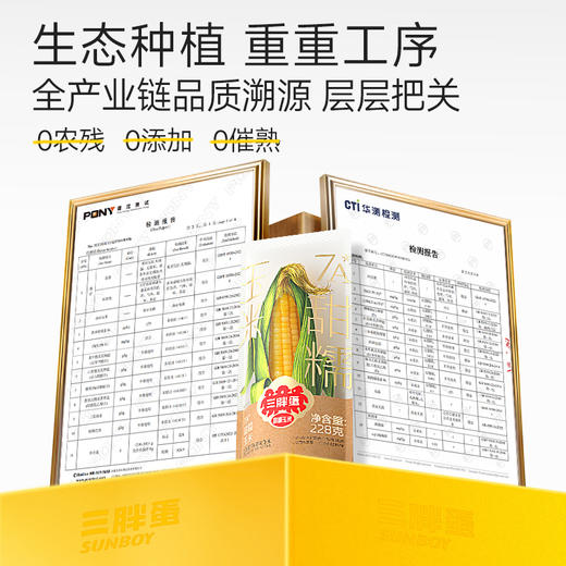 三胖蛋 黄/白 甜糯玉米228g（组合/礼盒） 商品图5