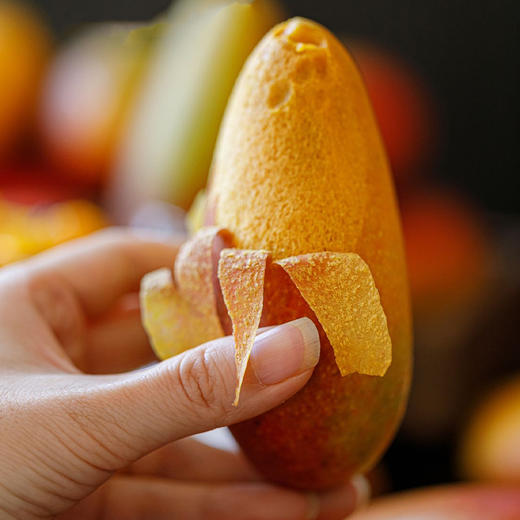 海南树上熟贵妃芒礼盒装 时令小芒果 香甜浓郁 京东发货 商品图2