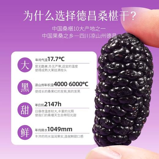 [芊芳源]桑葚干精选头茬饱满大果泡水食用口感清甜280g 商品图4