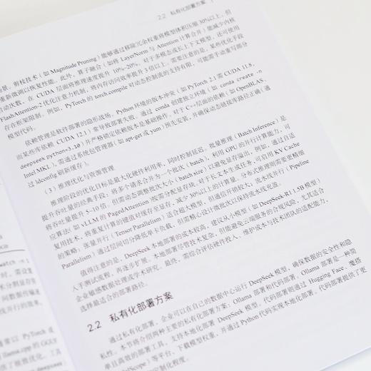 DeepSeek大模型应用开发 从提示工程到智能体实践 deepseek模型原理 大模型应用开发实践教程书籍 商品图3
